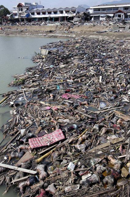 Tsunami Fukushima / Japan